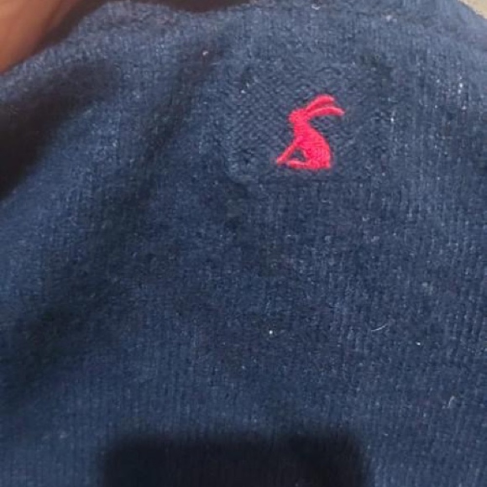 Classic Black GarmentJoules navy dog jumper